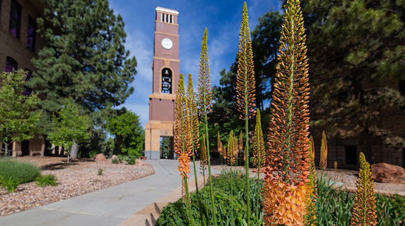 Bell tower with flowers in foreground