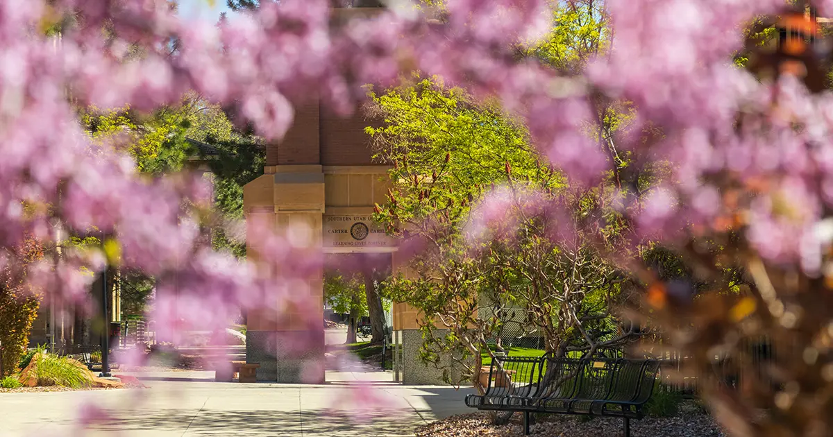 Spring blossoms in bloom on SUU Campus
