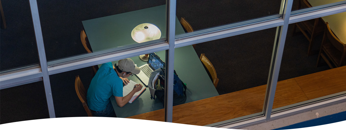 Image of a student studying.