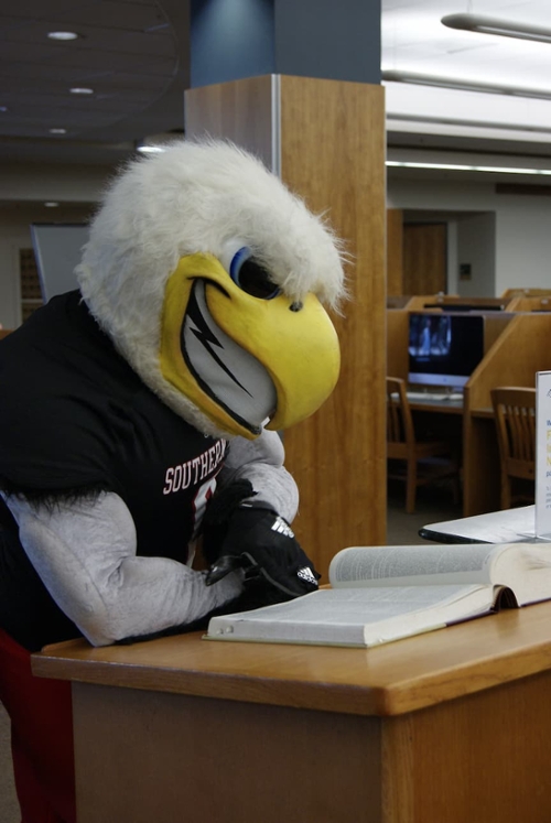 Thor reading a T-Bird Text at the library
