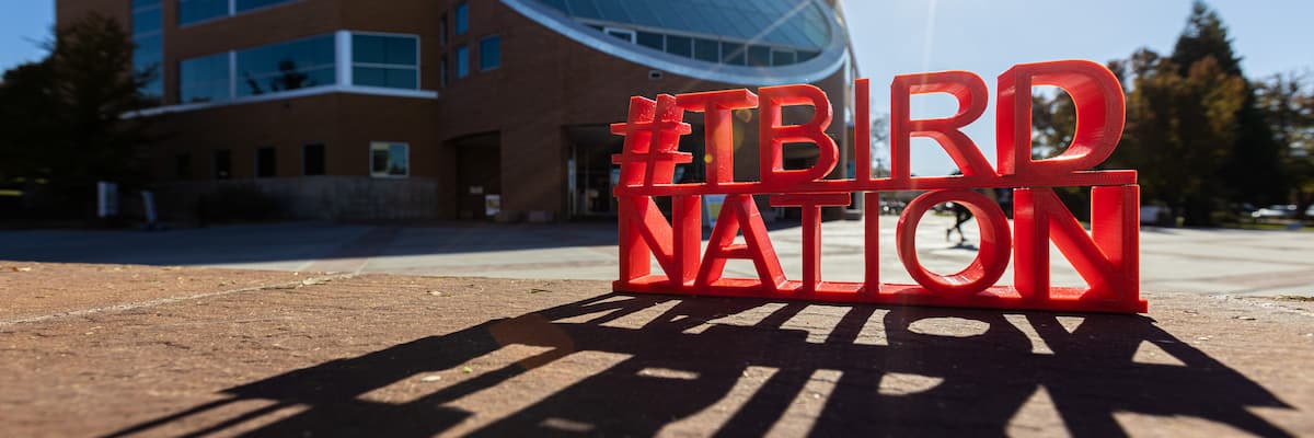 3D letters spelling 'T-Bird Nation' in front of the library