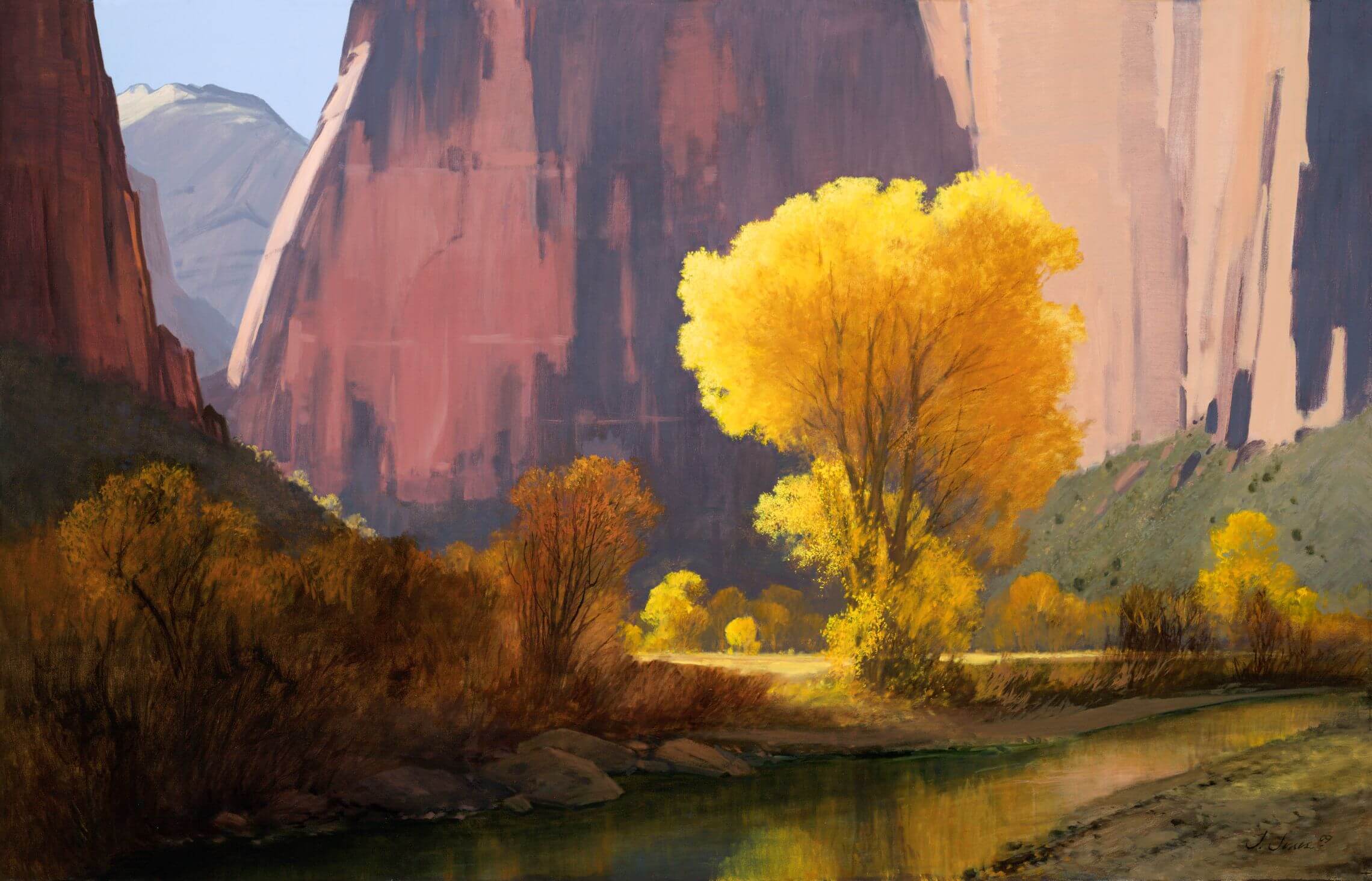 Autumn Cottonwood in Zion Canyon